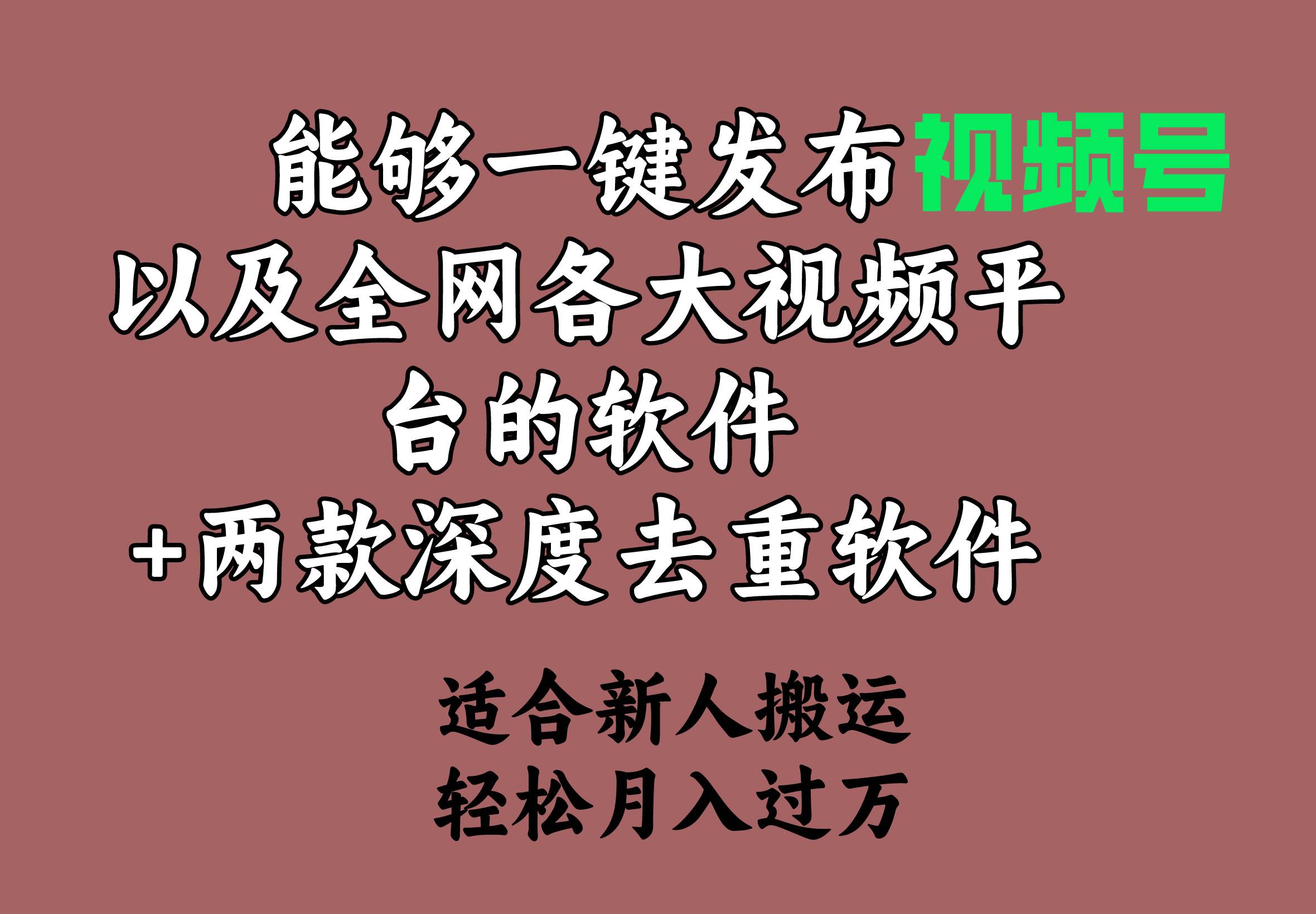能够一键发布视频号以及全网各大视频平台的软件 两款深度去重软件 适合新人