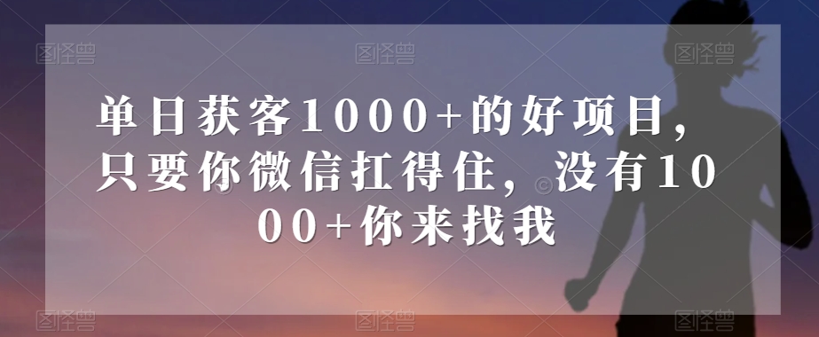 单日获客1000+的好项目,只要你微信扛得住,没有1000+你来找我【揭秘】