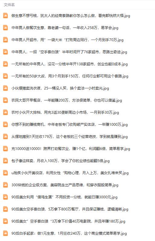 真实有效391套商业模式，年入几十到几百万案例解析（电子书 视频 图文）