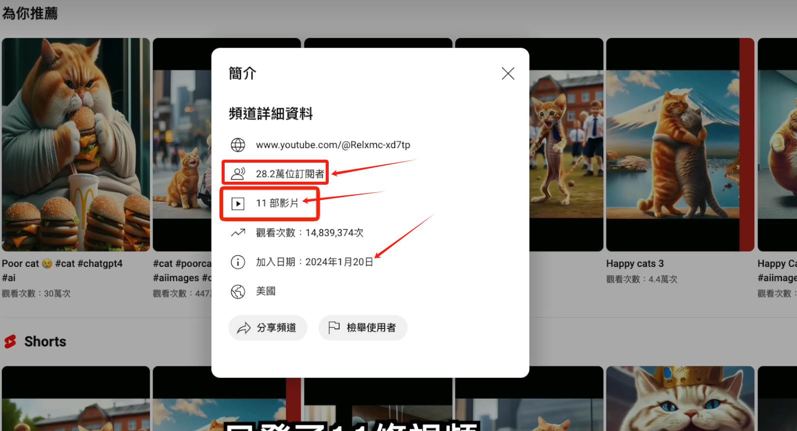 AI貓咪剧情号，30天涨粉100w，制作简单，一个视频全网分发，轻松一个月1W