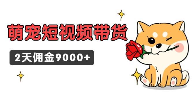 东哲日记·萌宠短视频带货，2天佣金9000