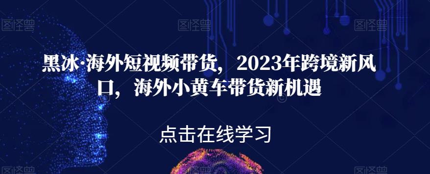 黑冰·海外短视频带货,2023年跨境新风口,海外小黄车带货新机遇