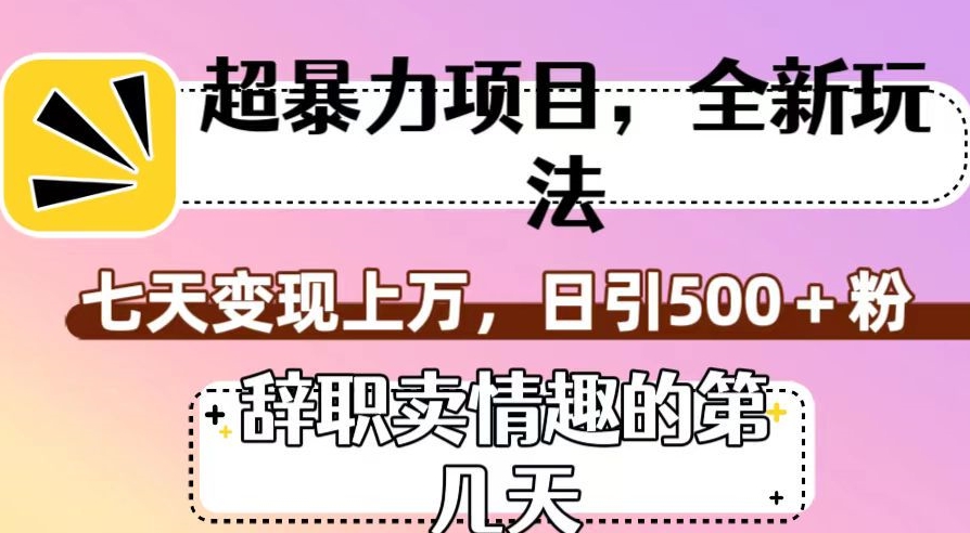 【揭秘】超暴利项目，全新玩法（辞职卖情趣的第N天），七天变现上万，日引500+粉
