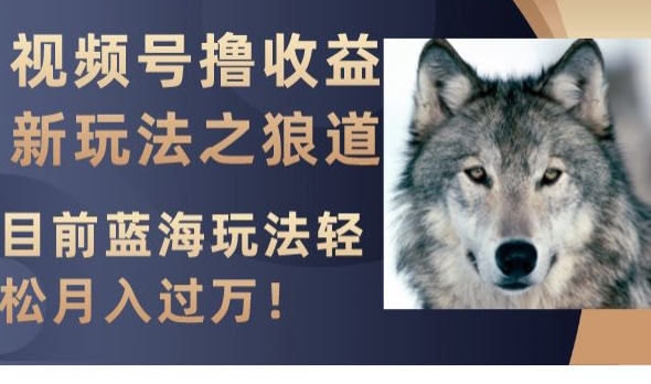 目前视频号撸收益蓝海新玩法:狼道文化赛道,轻松月入过万【揭秘】