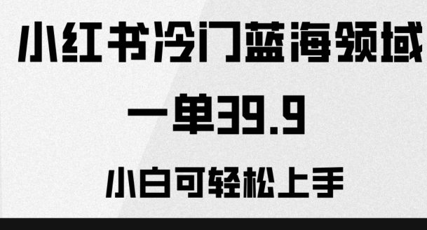 小红书冷门蓝海领域赛道，引流私域，一单39.9，小白可轻松上手，日入轻松500＋