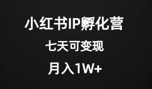 小红书IP孵化营项目:外面收费2000+的超级大蓝海项目,七天即可开始变现,稳定月入1W+