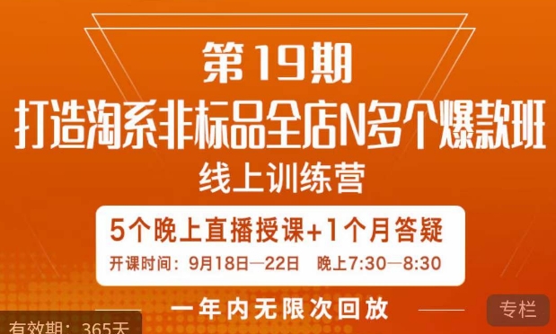 19期打造淘系非标全店N多个爆款线上课,5天直播课线上训练营