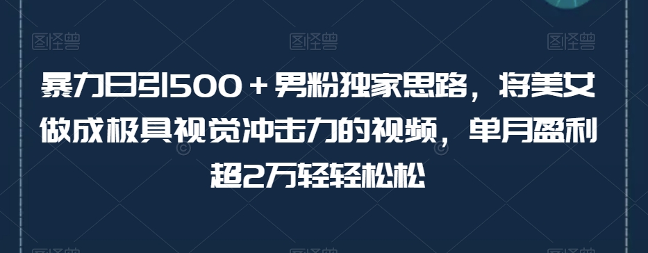 暴力日引500＋男粉独家思路，将美女做成极具视觉冲击力的视频，老色批超爱看！变现超级快！月入2万+