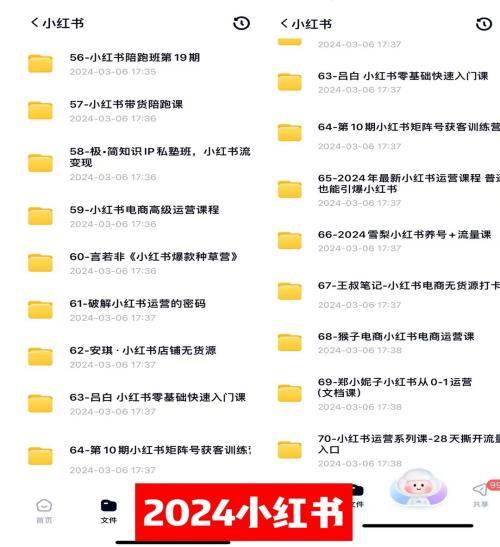 0基础知识付费玩法 小白也能一天500 实操教程