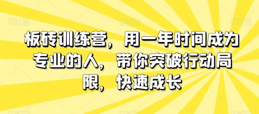 板砖训练营，用一年时间从新手到专家的系统加速成长方案，带你突破行动局限，快速成长
