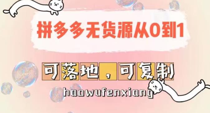 拼多多无货源从0到1，可落地，可批量操作