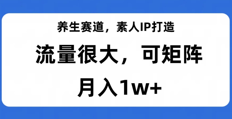 【打造流量大的养生IP】如何在养生赛道上月入1w+?