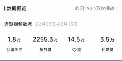 视频号最新100%原创玩法，收益稳定，单日收益1000 ，小白专属