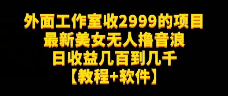 外面工作室收2999的项目,最新美女撸音浪,日收益几百到几千【教程+软件】(仅揭秘)
