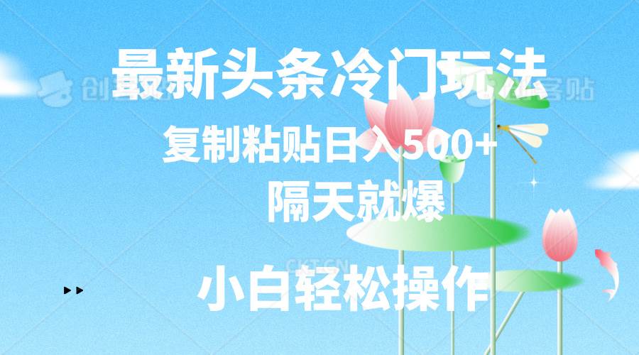 最新头条冷门玩法，隔天就爆，复制粘贴一天500