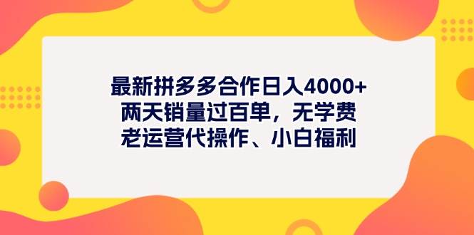 最新拼多多项目一天4000 两天销量过百单，无学费、老运营代操作、小白福利