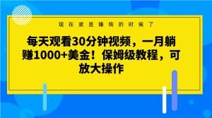 每天观看半小时视频，一月躺赚1000+美金！保姆级教程，可矩阵放大操作【揭秘】