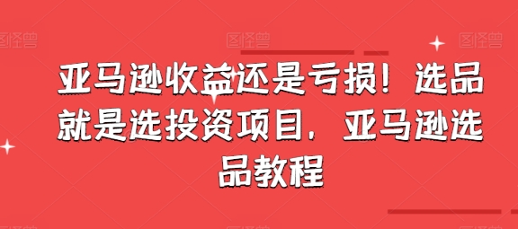 亚马逊收益还是亏损!选品就是选投资项目,亚马逊选品教程