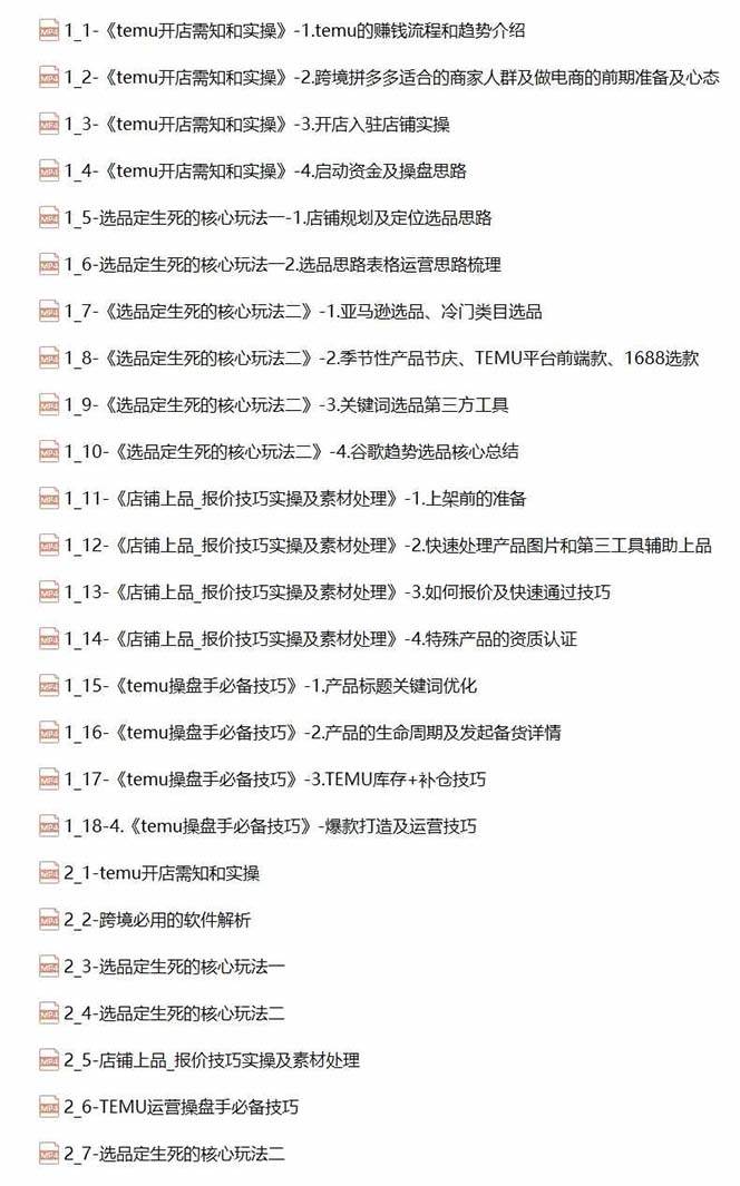 2024-TEMU拼多多·跨境开店、运营、选品(25节视频课)