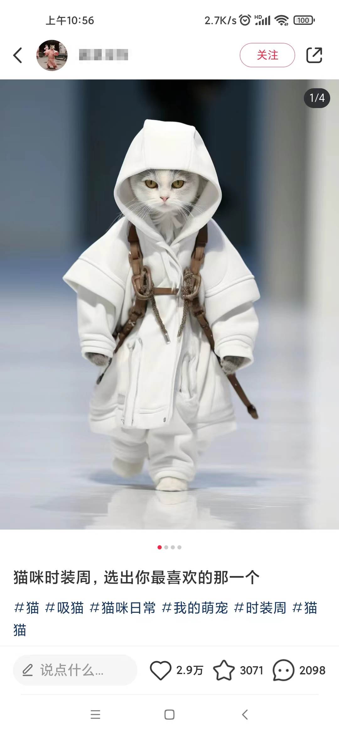 小红书全新爆款项目，Animal秀，7天变现1w