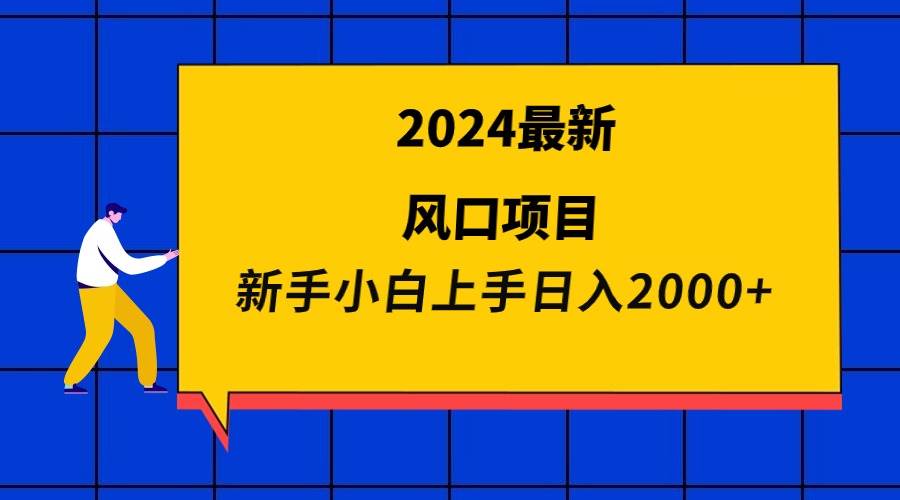 2024最新风口项目 新手小白一天2000