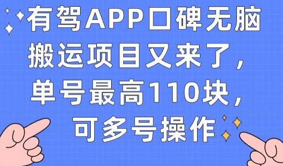 有驾APP:口碑“无脑搬运”项目,单号最高110块,可多号操作