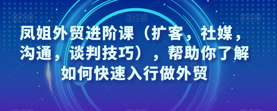 外贸新人必备：凤姐外贸进阶课，助力你快速入行做外贸