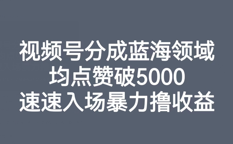 视频号分成计划：发掘蓝海领域，均点赞破5000，每天暴力撸收益！