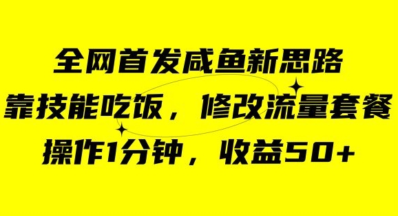 咸鱼冷门新玩法，靠“技能吃饭”，一分钟修改流量套餐，小白也能收益50+【揭秘】