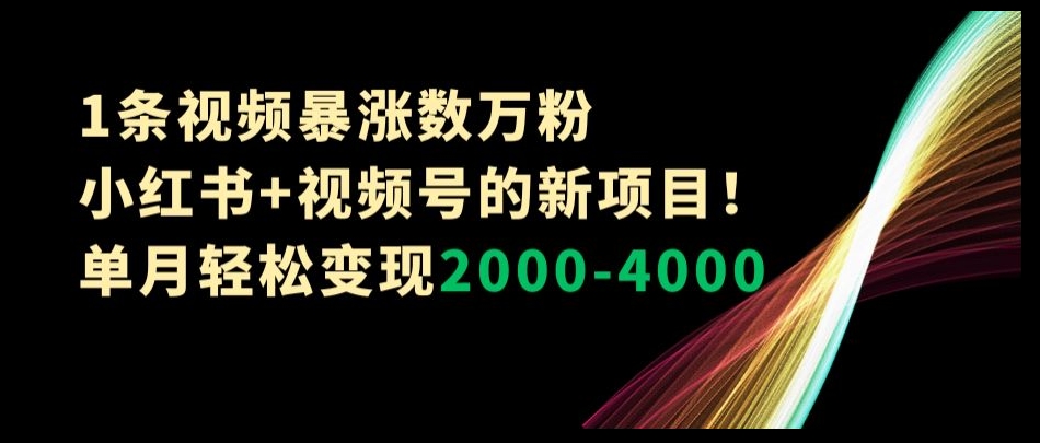 一条视频暴涨数万粉--小红书+视频号的全新项目！单月轻松变现2000-4000【揭秘】
