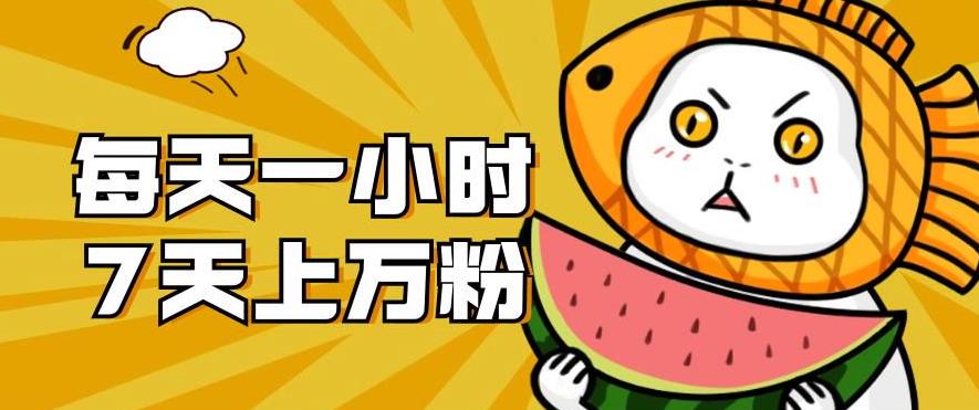 暴力涨粉项目：每天一小时，七天速成，粉丝破万，真相让你大吃一惊！【揭秘】