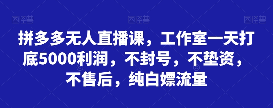 拼多多无人直播课程：纯白嫖流量，工作室一天打底5000利润，不封号，不垫资，不售后